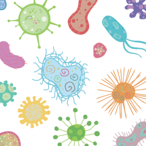 All Oral Bacteria Is Not Created Equal