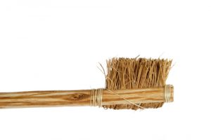  ancient toothbrush